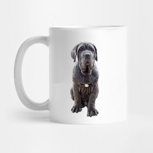 Neapolitan Mastiff - Stunning Dog! Mug